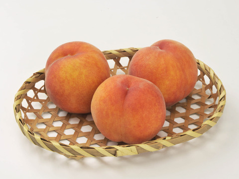 【お中元】固くて美味しい　長野県産　ワッサー　約3kg（7～12個）