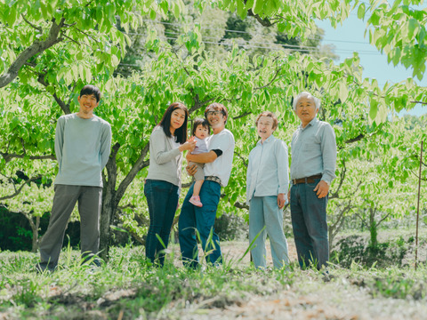 桐箱入 プレミアム干柿 SHUKU８玉