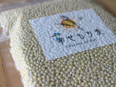 令和6年産　もちっプチっ食感が癖になる！岡山西大寺幸せもち麦400ｇ（200ｇ×２）