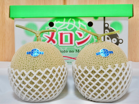 今季最終便【秋作】秀品マスクメロン3.2kg以上(1.6kg以上×2玉・くまモン箱入り)