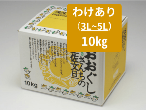 【土佐文旦訳あり10kg（3-5L）】日本で一番みかんと暮らしてる私たちにお任せください！