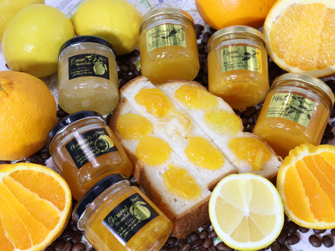 【母の日ギフト】瀬戸内柑橘ジャム・マーマレード4本セット（100gx4本）