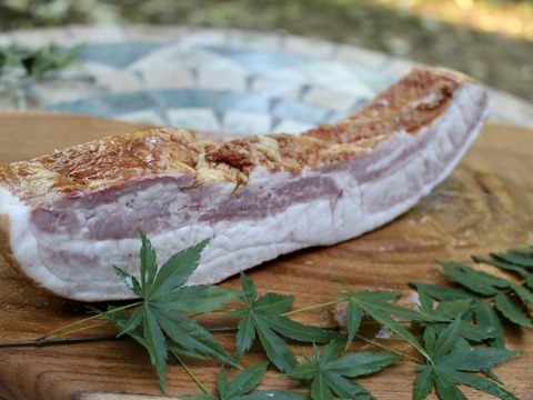 【希少すぎて売り切れ御免！】部位ごとの旨みや食感を楽しむハム3種セット