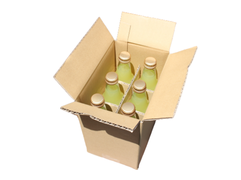 【訳あり】日向夏スパークリング340ml×6本