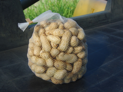 【農薬化学肥料栽培期間中不使用】🐞生落花生おおまさり＊1㎏＊2025年9月下旬より限定販売🥜今年の分は終わりました