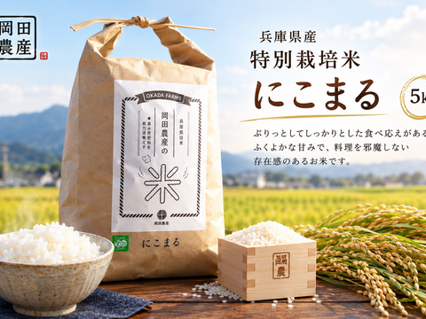 2026年産新米】もちもちツヤツヤ特別栽培米「にこまる」白米10kg：兵庫