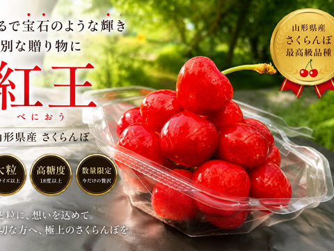 数量限定※新品種 紅王登場！！！山形県産 【500円サイズ】 2L〜5L 父の