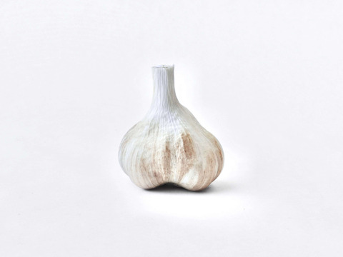 【屋久島産】素のままドライガーリック