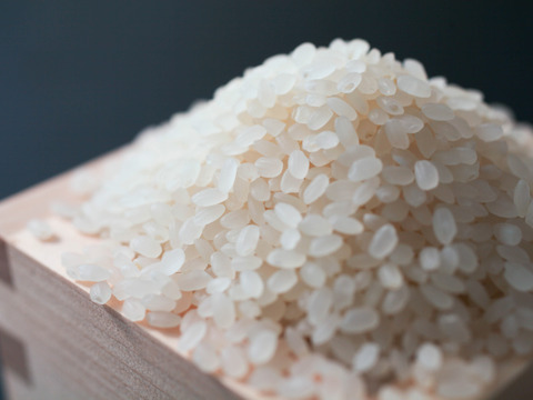 【母の日ギフト】特別栽培米コシヒカリ2ｋｇと米粉パンケーキミックス（300ｇ×2袋）の詰め合わせ