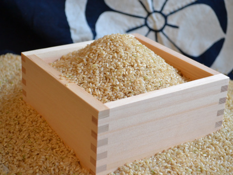 令和7年菊池米食味コンクール第3位受賞　農薬化学肥料成分を気にしなくてよい、「菊池清流米」玄米　20ｋｇ