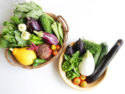 農薬・化学肥料不使用」のお試し野菜セット/7-8種類/【夏ギフト】/簡単