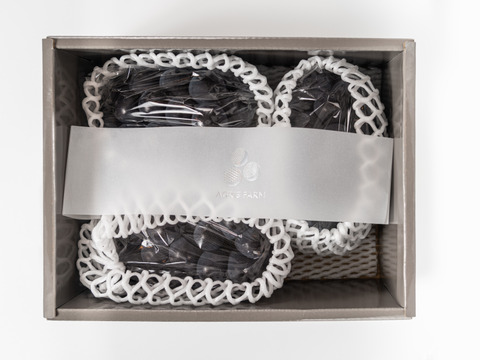 【贈答用】 岡山県産ニューピオーネ 3房　予約販売！8月下旬より順次発送致します。