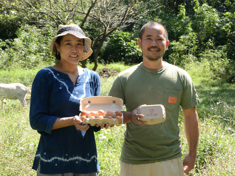 限定販売✨菊池の平飼い有精卵🥚
あっさり美味しい！！（２０個入り）✨
