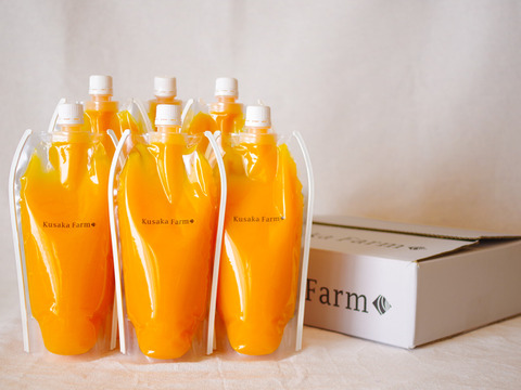 【父の日ギフト】日下みかんストレートジュース　パウチ500ml×6本(化粧箱入)
