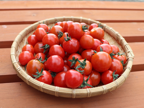 【おまけ野菜付き♪】特別栽培&JGAP認証農場の『ふらの産ミニトマト』1.5㎏
