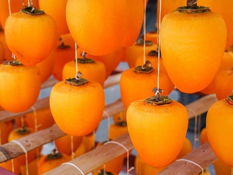 【ゲン担ぎ福袋】『あんぽ柿』10パック　しっとりトロッと冬の贅沢スイーツ