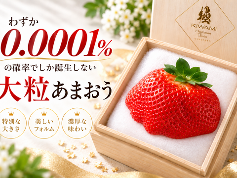 あまおう苺 予約販売 2026年11月下旬～順次発送】特大あまおう苺「極」80g ギフト