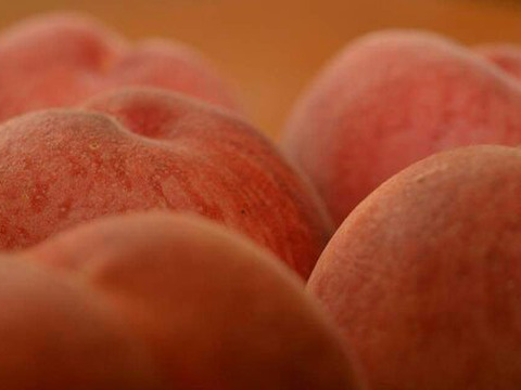 数量限定！旬の桃おまかせ🍑桃食べ比べセット2kg ※9～10月発送