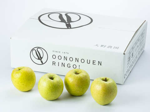 【りんご：王林】癒やしの香り豊かな時間 青りんご特大14～10個程度（5kg程度）