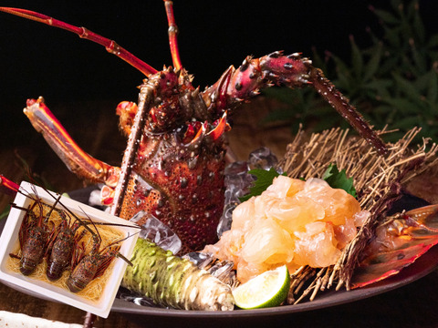 【生】甘み濃厚な天然伊勢エビ（宮崎産｜1kg〜）