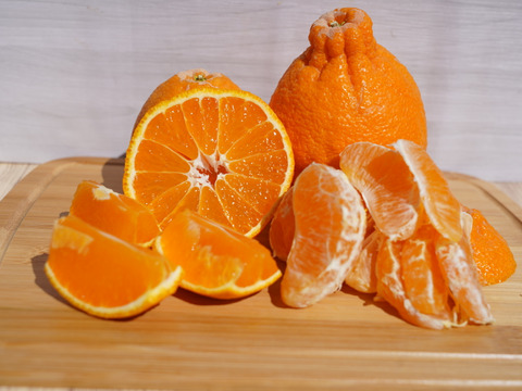 今期の販売は3月26日でラスト‼︎【家庭用】柑橘の王様『濃厚な味わいハウス不知火♡おてんば娘シリーズ』5㎏