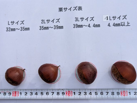 茨城県産 栗の王様「利平栗」4L以上・2kg+α 甘さ濃厚！ホクホク