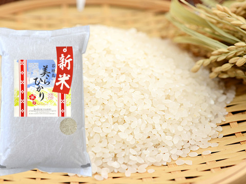 【新米】令和7年産【白米5kg】残留農薬ゼロ！ 石垣島産 美らひかり