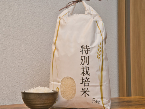 なまらうまい！オリジナルブレンド特別栽培米「悪魔ブレンド😈」精米5kg
