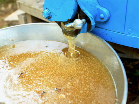 【お歳暮に！】ナッツの蜂蜜漬けと百花蜜のギフト3本入り