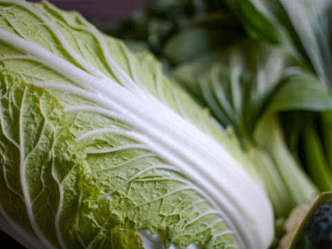 【旬の上州野菜】お試しサイズ（3~5品目）梱包まで丁寧に