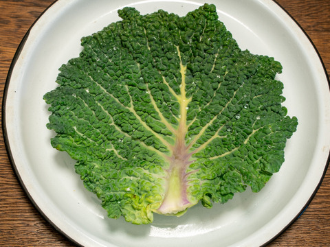 冬の定番！【京都産】　サボイキャベツ　２玉（約１kg）