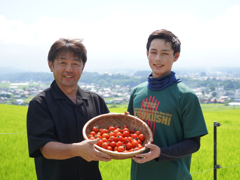 【高原育ちのフルーツミニトマト】サマー千果 2kg｜糖度8.3以上／八ヶ岳の恵み