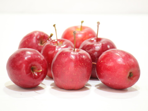 【予約開始】５個３０万円の高級リンゴ！限定５０セット！！大切な方へのギフトに最適！青森県弘前市のとんがり▲まさひろ林檎園から