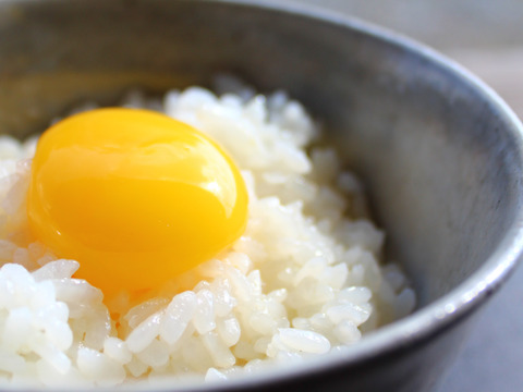 【クール便指定】国産飼料だけでヒヨコから育てた元気な平飼いたまご　80個入