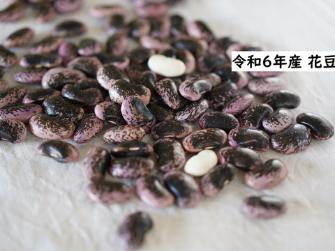 【令和6年産・花豆】群馬・六合の高原農家の伝統花豆（レシピ付）400g