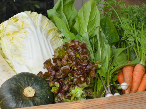 冬野菜セット9～10品目(３～4人分)　元イタリアンシェフが育てる「濃厚で甘み・苦味の濃い野菜」家族で１週間楽しめる野菜セット【福袋】