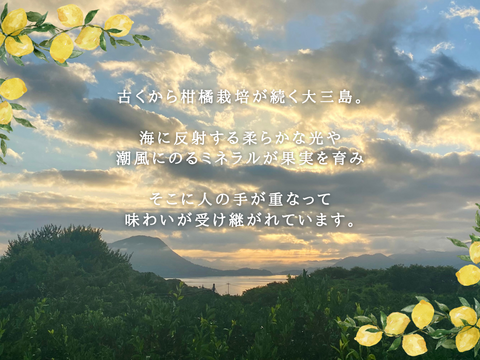 香り抜群！大三島グリーンレモン！ 5キロ【皮ごと食べられるワックス・防腐剤フリー☆】瀬戸内レモン