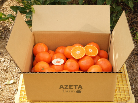 コクのある甘さ！　山下紅　（ご家庭用５㎏）