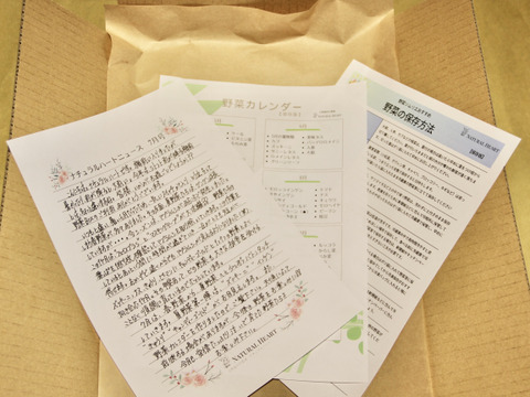 希少な自然栽培の野菜ボックス【Ｌサイズ】