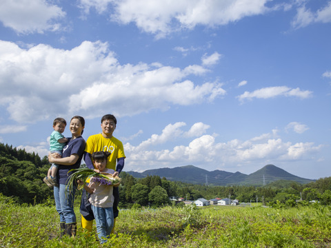 田子町産にんにく２ｋｇ【バラ】