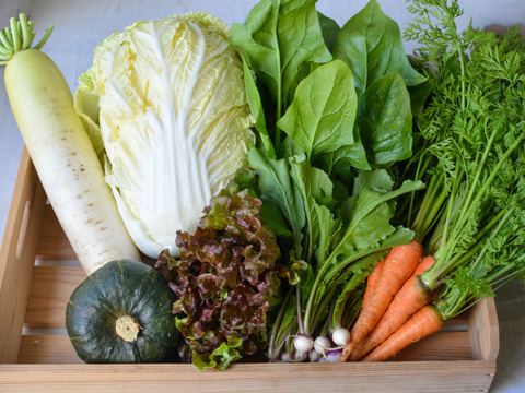 冬野菜セット9～10品目(３～4人分)　元イタリアンシェフが育てる「濃厚で甘み・苦味の濃い野菜」家族で１週間楽しめる野菜セット【福袋】