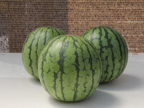 今年の夏も【かねこ農園】のスイカとミニトマトが食べたーい！！　北海道産【小玉スイカ】「ピノガール」1玉+有機ミニトマト「ほれまる」500ｇ×2パックセット！