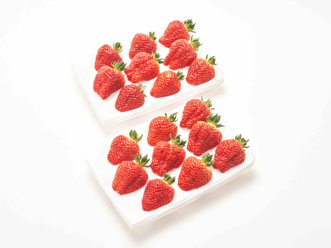 越後姫プレミアム  特選品  約720g じゅわ〜っと甘い果汁が溢れ出す