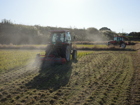 【令和7年新米】
思いの詰まったお米 「夢つくし」
 精米10kg(5㎏袋×2個)