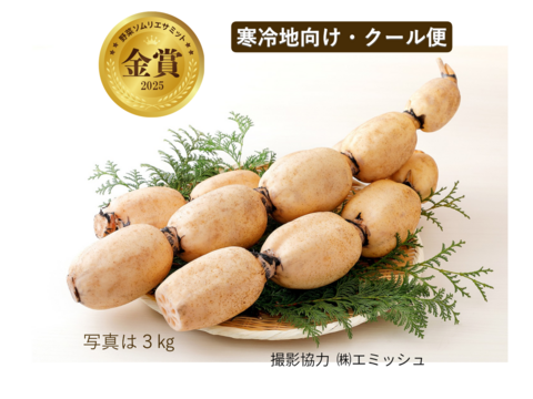 【2025年野菜ソムリエサミット金賞】（クール便）すずきの「口福れんこん」 松 3キロ