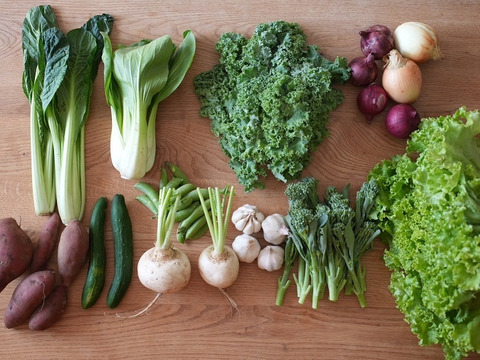 『新もの3兄弟入り！』旬の野菜セット9品前後〈農薬等不使用栽培〉100サイズ