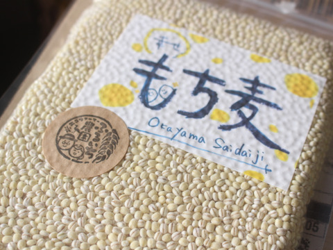 令和7年産　もちっプチっ食感が癖になる！岡山西大寺幸せもち麦（2kg（１ｋｇ×２））