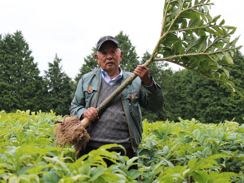 幻の生芋こんにゃく『和玉』セット(７品)