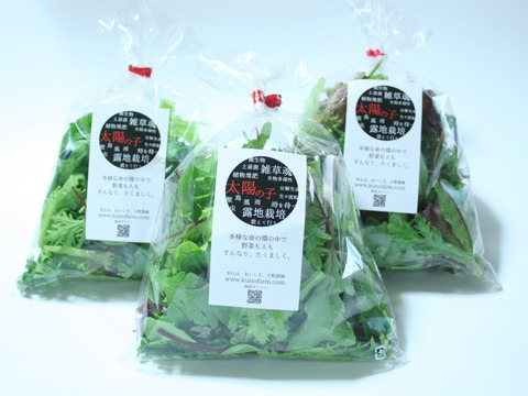 ベビーリーフmix3pc＋旬の野菜4品セット（農薬・化学肥料不使用）