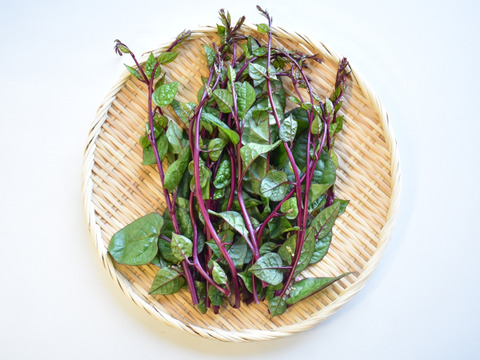 和らぎ農法　つるむらさき（1束）